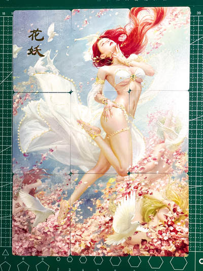 显眼宝25期 颜值精选 - 燎原卡牌 焱卡文化 刷子 妖姬传 花妖 九拼一套 花妖里面有2个人你们看到嘛  63*88