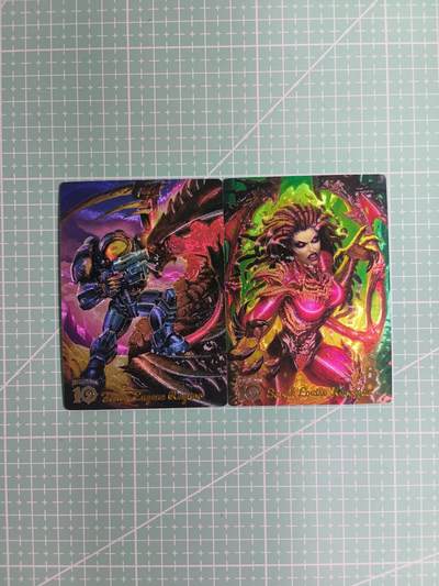 C先生卡牌 第8期 豪杰传亲签 西游姬亲签 卡德曼亲签 人间传亲签（品控显微镜勿拍！默认微瑕。持续收拍品中。。欢迎送拍） - 【粗闪】奇点盲包系列《炉石传说》两张