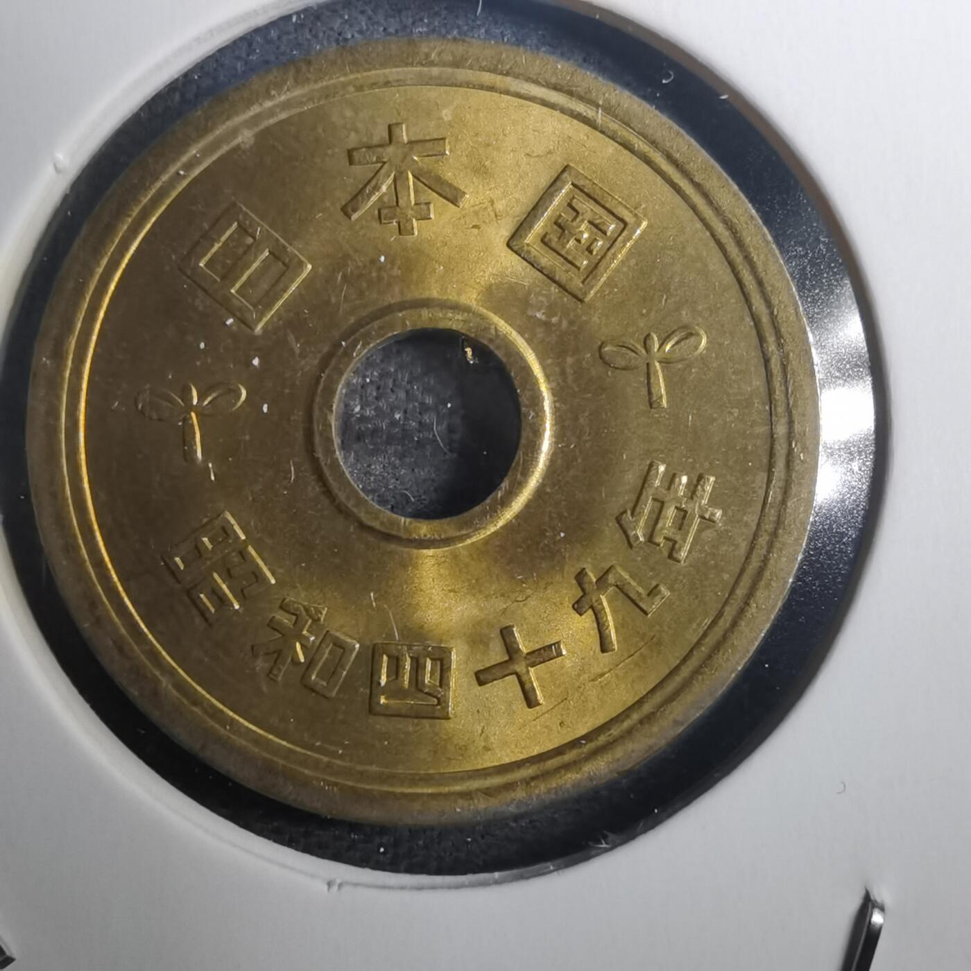 沼泽如烟--第802场