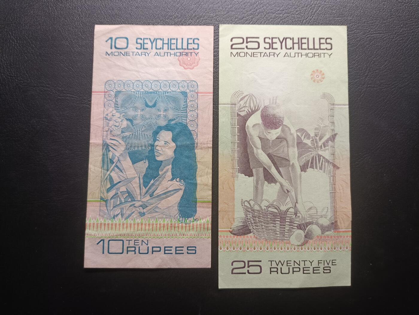 2025八月第一期（总186期）
