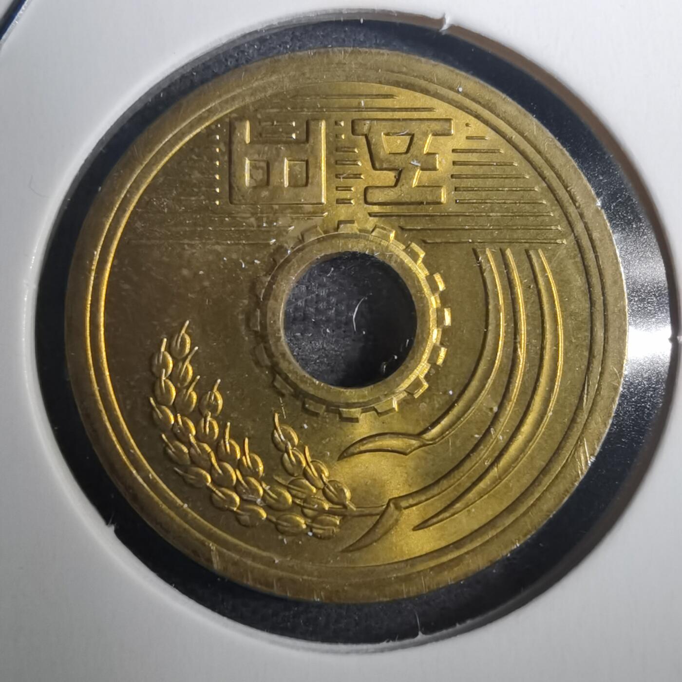 沼泽如烟--第802场