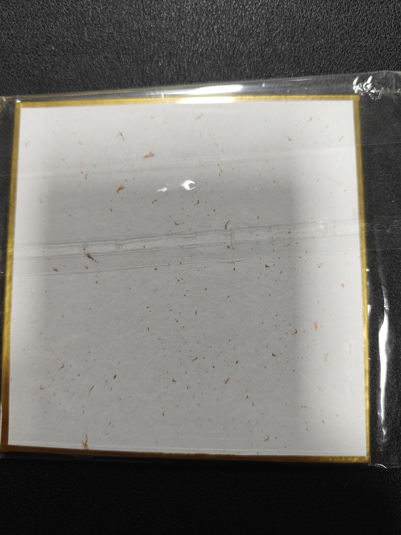 天玑星卡拍第一百零九期《7.31周四截拍》持续收拍收评中 满赠卡需备注 【亲签色纸】一泡 孙悟空 色纸 10*10CM