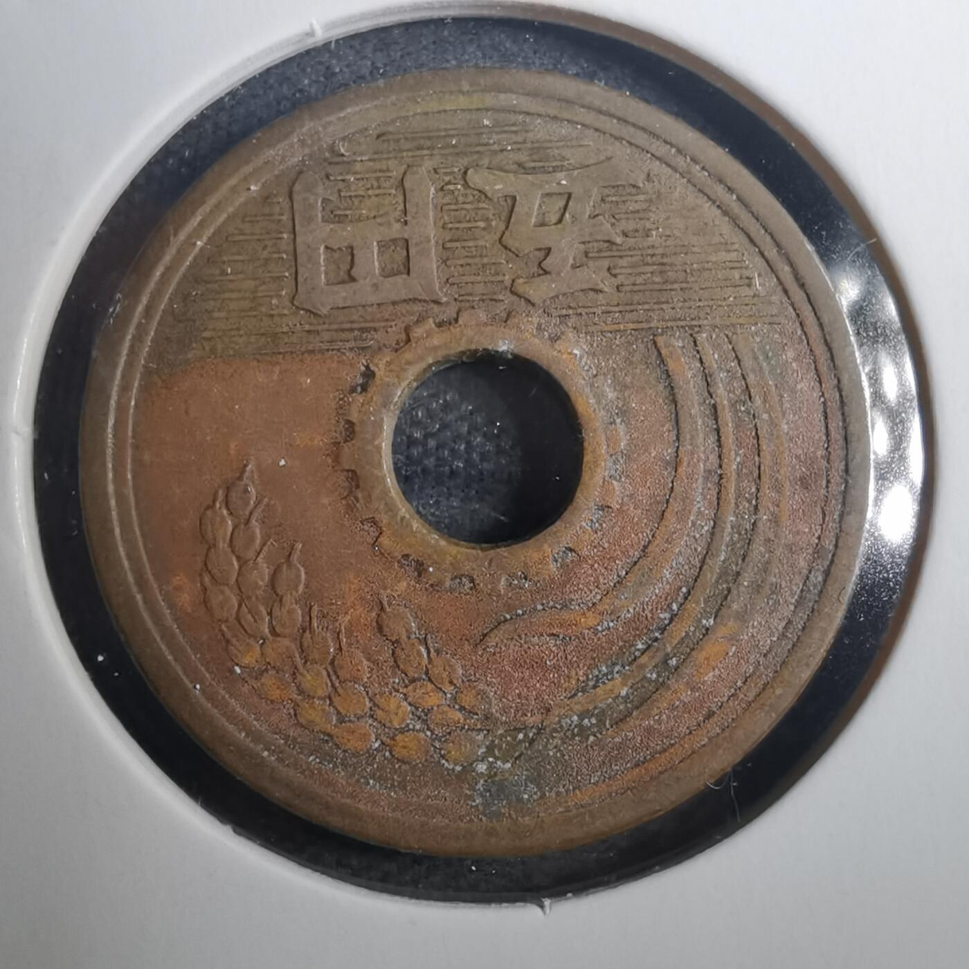 沼泽如烟--第802场