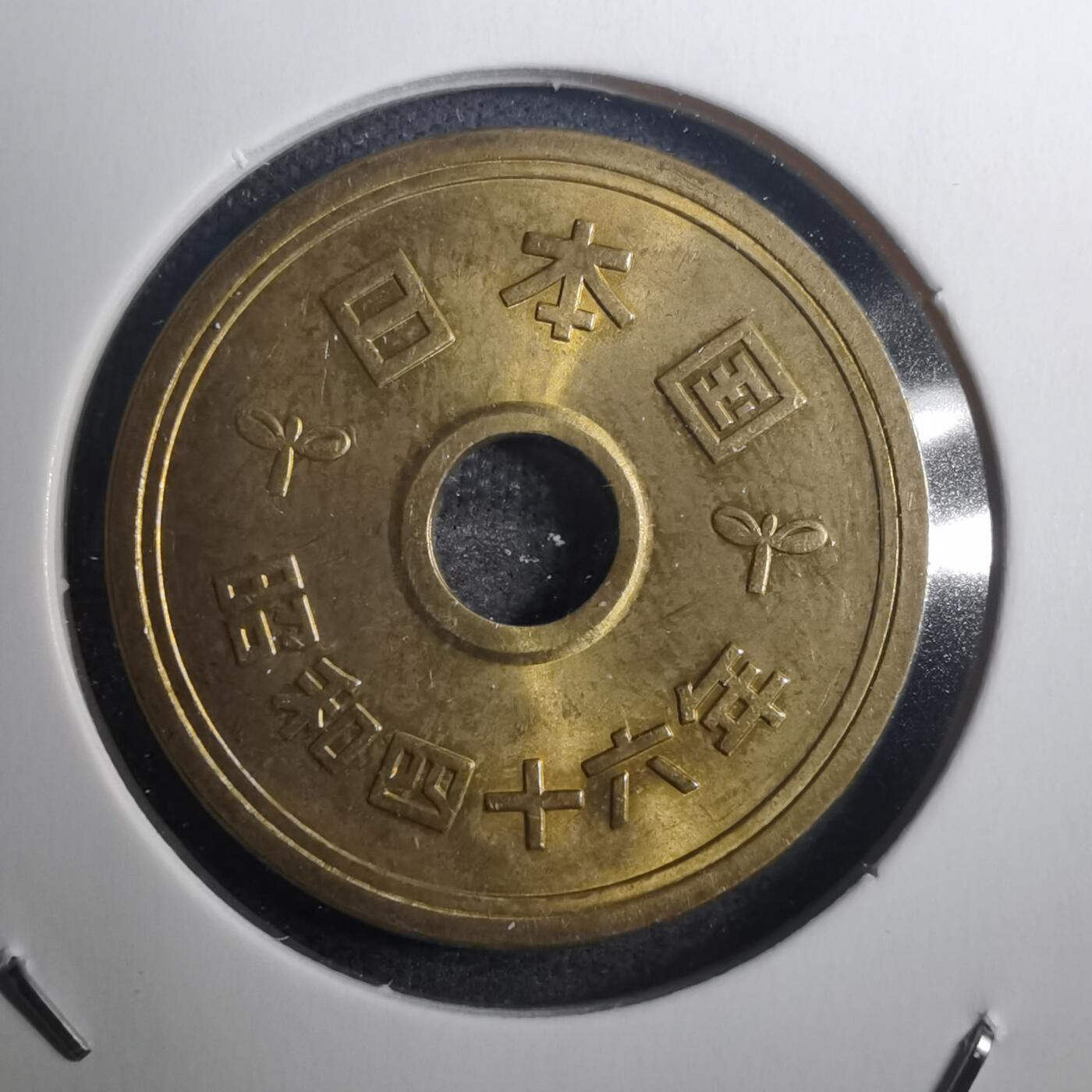 沼泽如烟--第802场