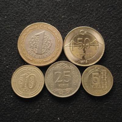 【全场包邮】纯粹捡漏拍447场 - 土耳其