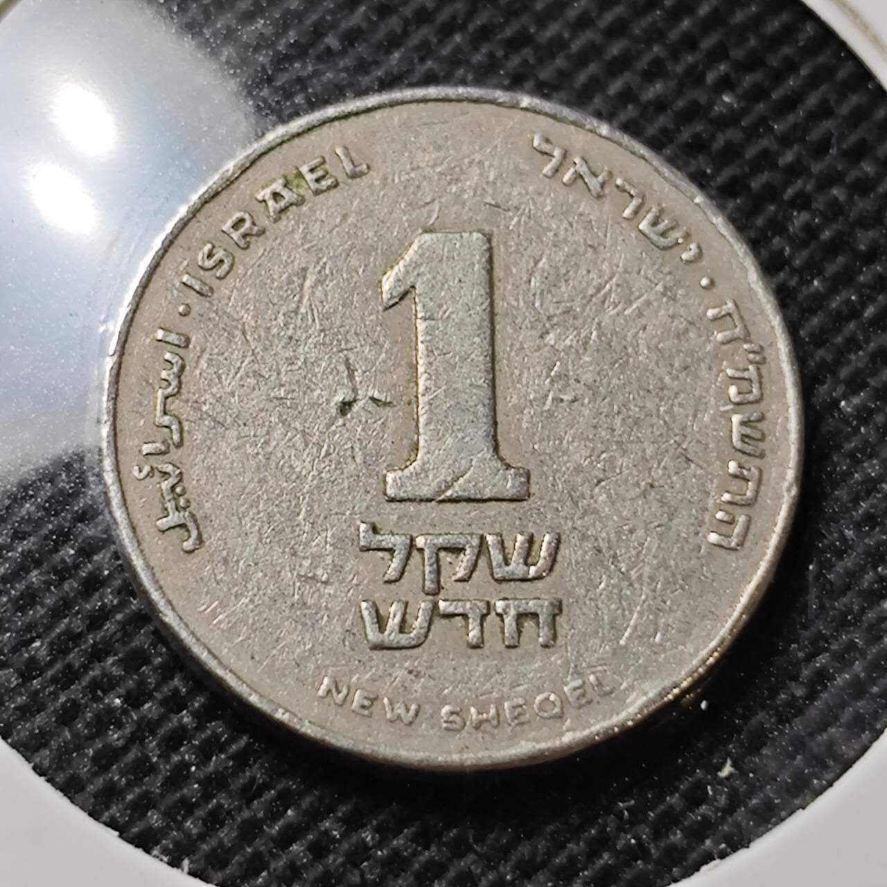 KK钱币收藏小铺 第314期 2月预留时间 周末发货 以色列1谢克尔