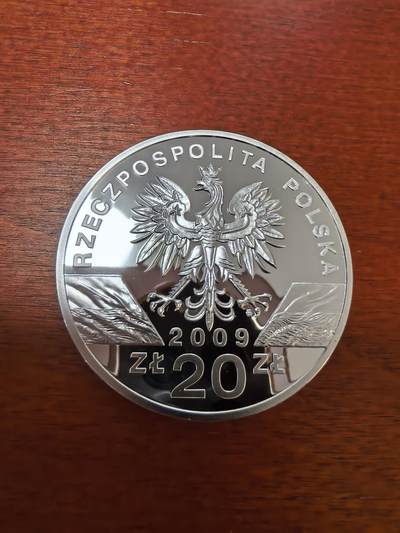 长老汇蛇年精选第三十场拍卖 2009波兰欧洲绿蜥20兹罗提精制银币，28.28克925银