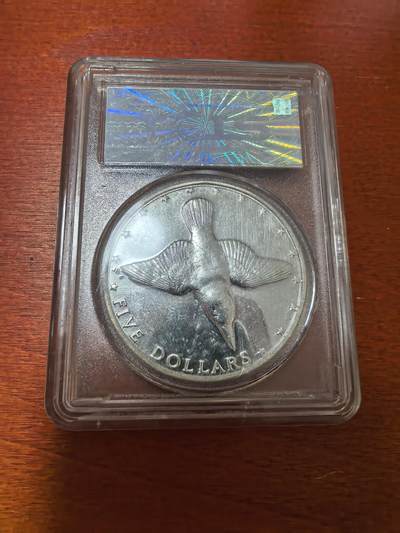 长老汇蛇年精选第三十场拍卖 1976库克群岛野生动物保护翠鸟5元精制银币，TCLS评级PR68DCAM