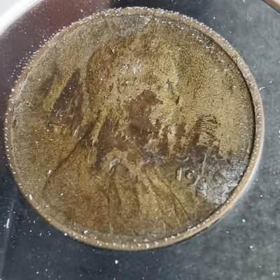 沼泽如烟--第801场 - 美国一分