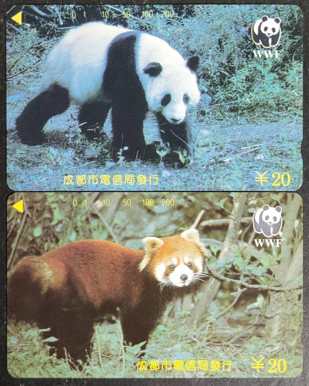 公藏第54期裸卡拍卖