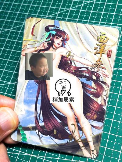 显眼宝25期 颜值精选 - 绘天阁卡牌   原创本草纲目系列卡   亲签艺术卡带防伪贴纸（买普套6套可获一张）  西洋参  共1张  彩闪工艺   大卡尺寸  63*88
