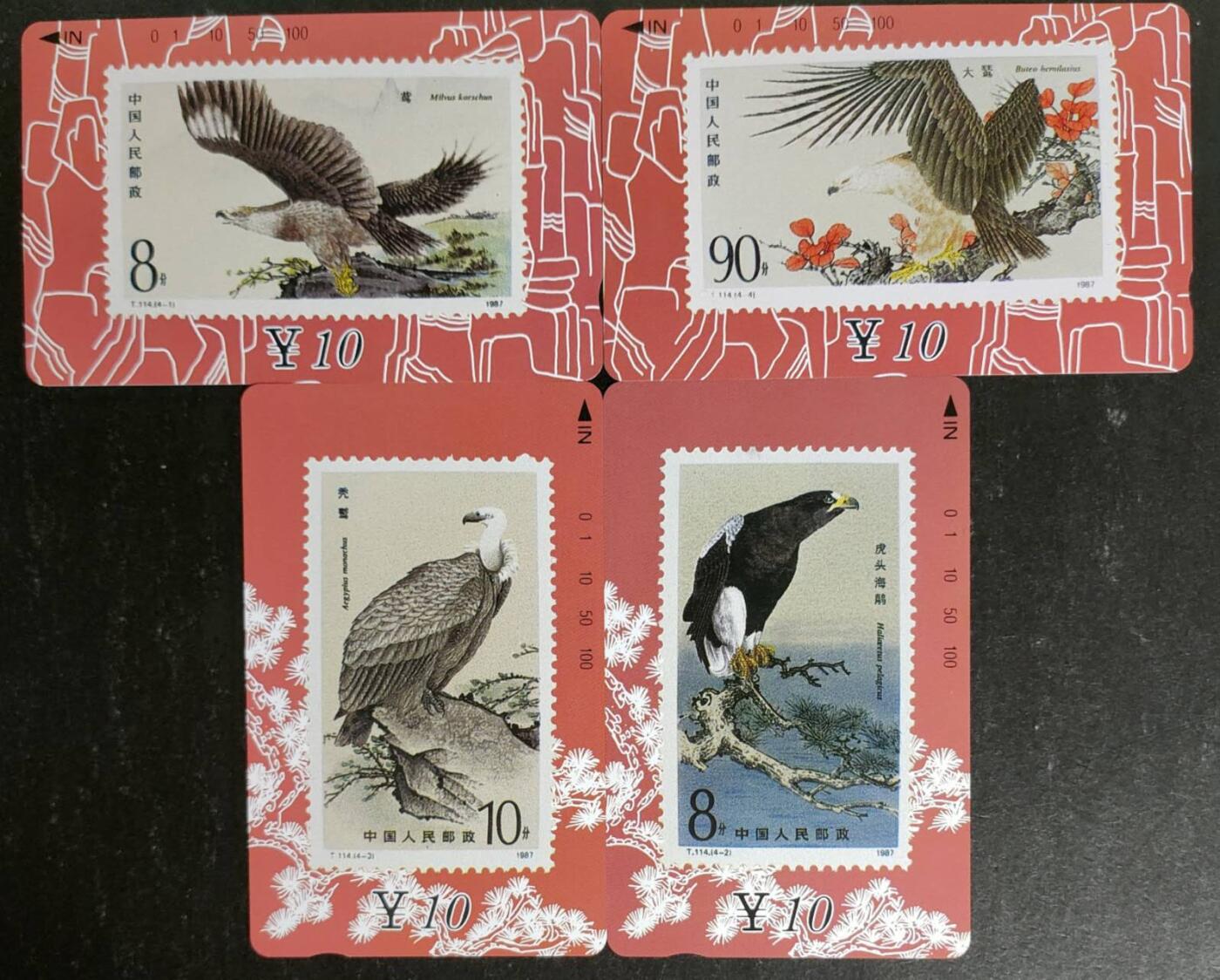 公藏第54期裸卡拍卖 甘肃田村卡（猛禽）4全品相钢印码见描述。
