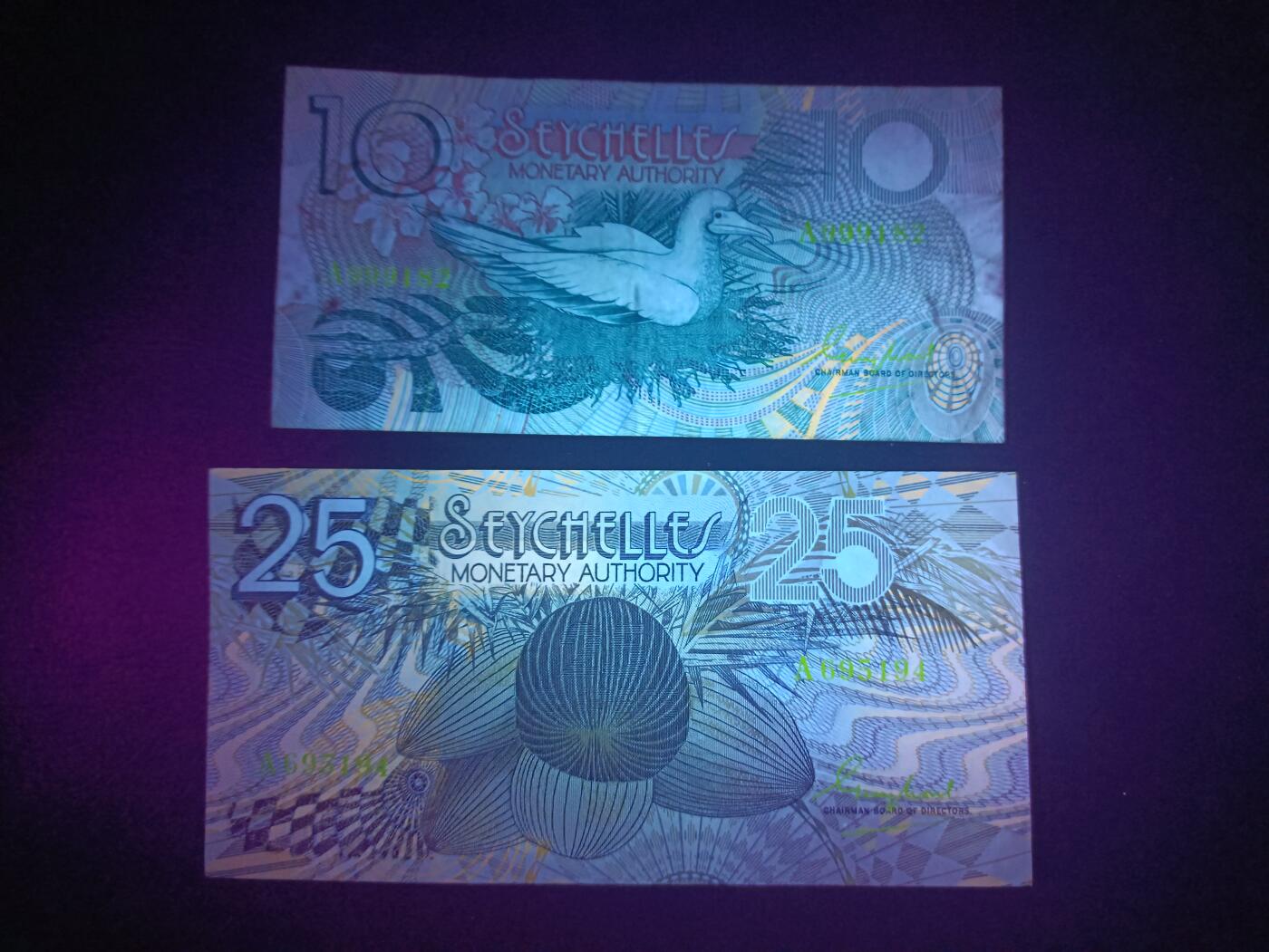 2025八月第一期（总186期）