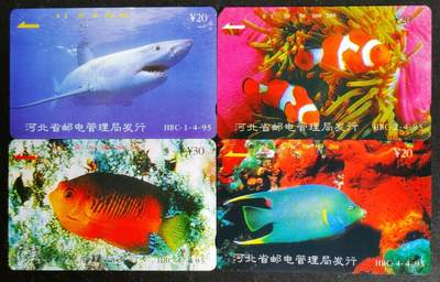 公藏第54期裸卡拍卖 - 河北田村卡（鱼类）4全品相钢印码见描述。