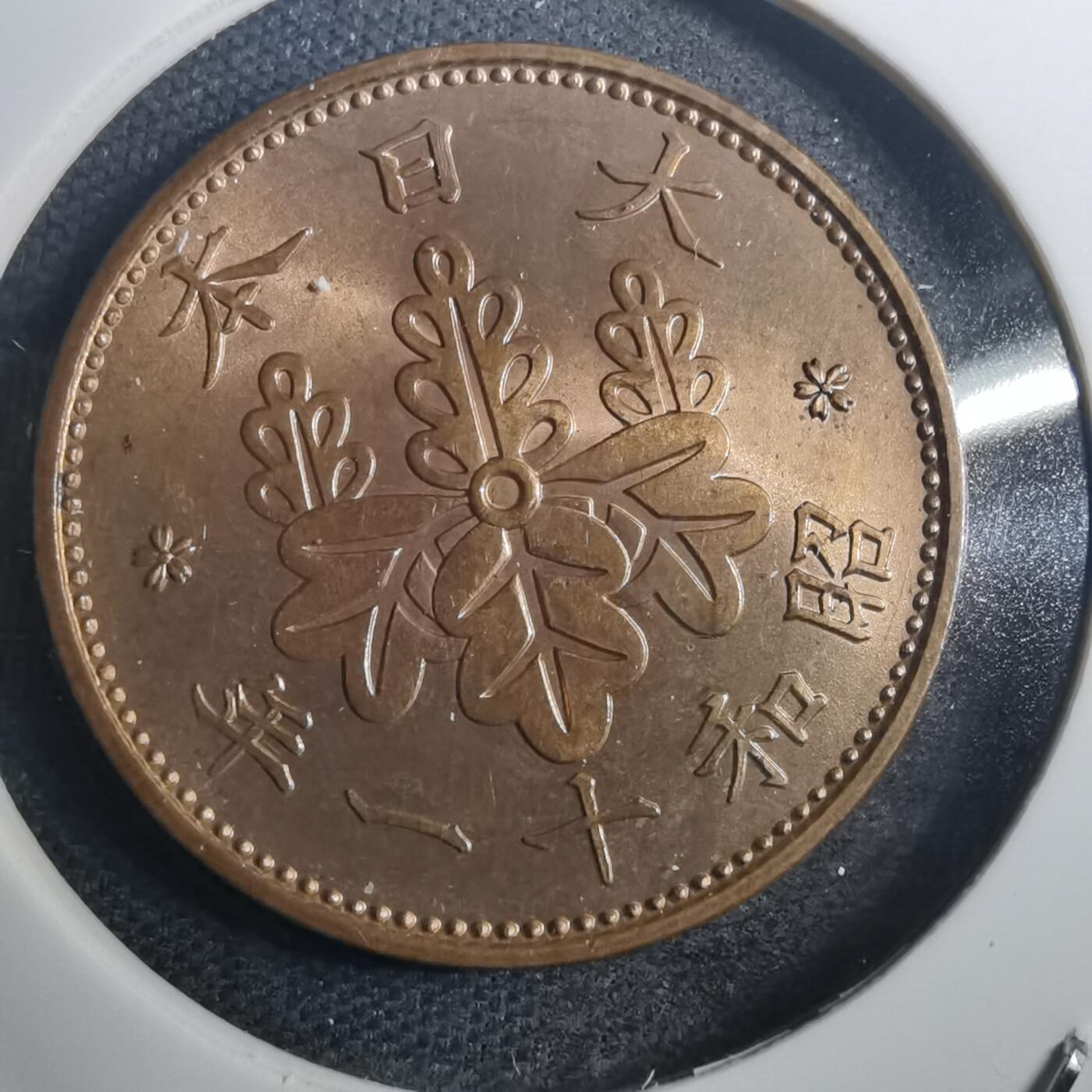 沼泽如烟--第802场