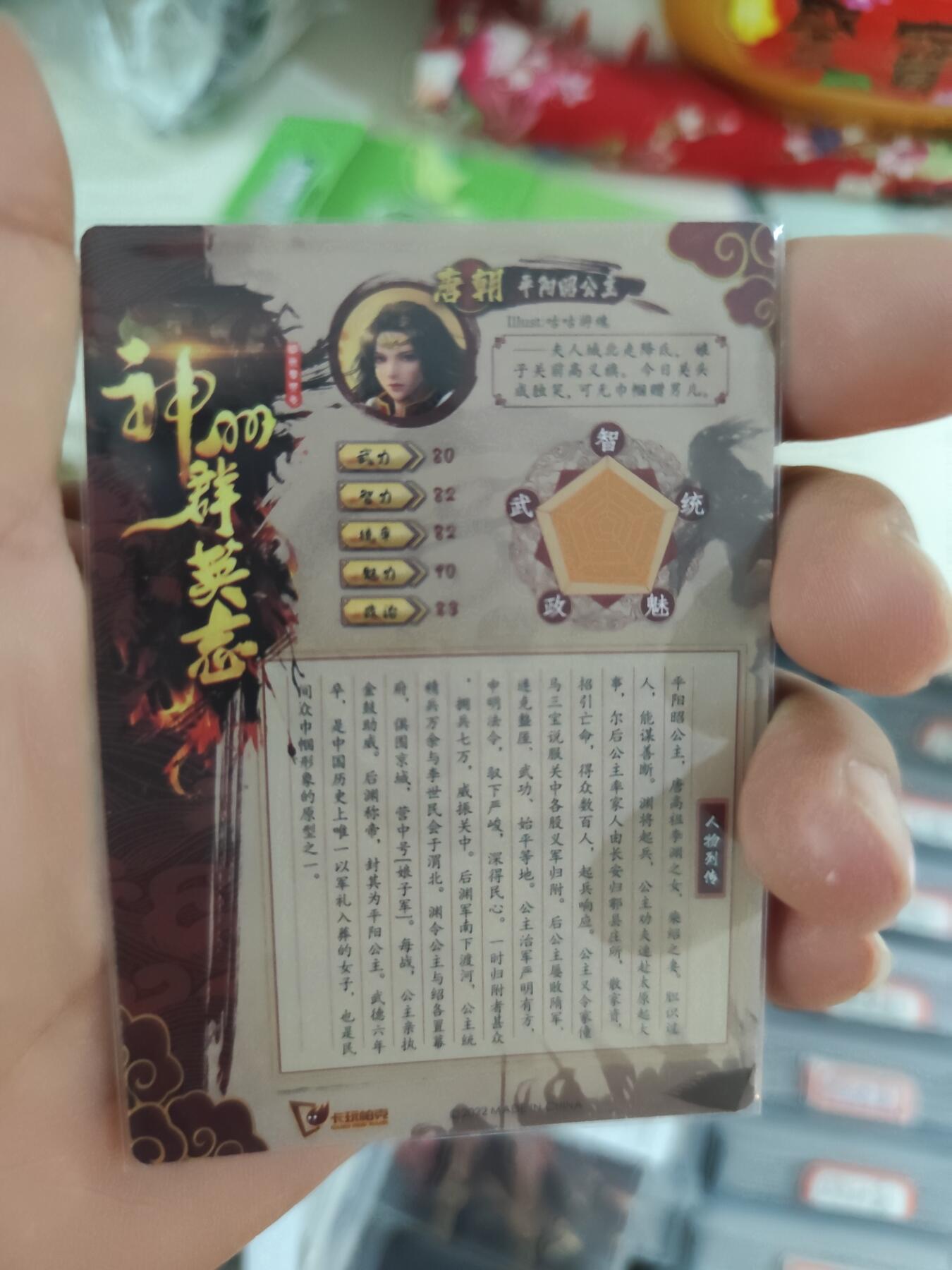 粗闪 平阳昭公主