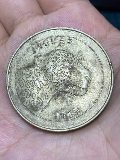 2025年第七十三场(总第九十九场）外国好品散币(免佣金) - 38mm超大直径–英国🇬🇧1989年野生动物保护主题纪念章