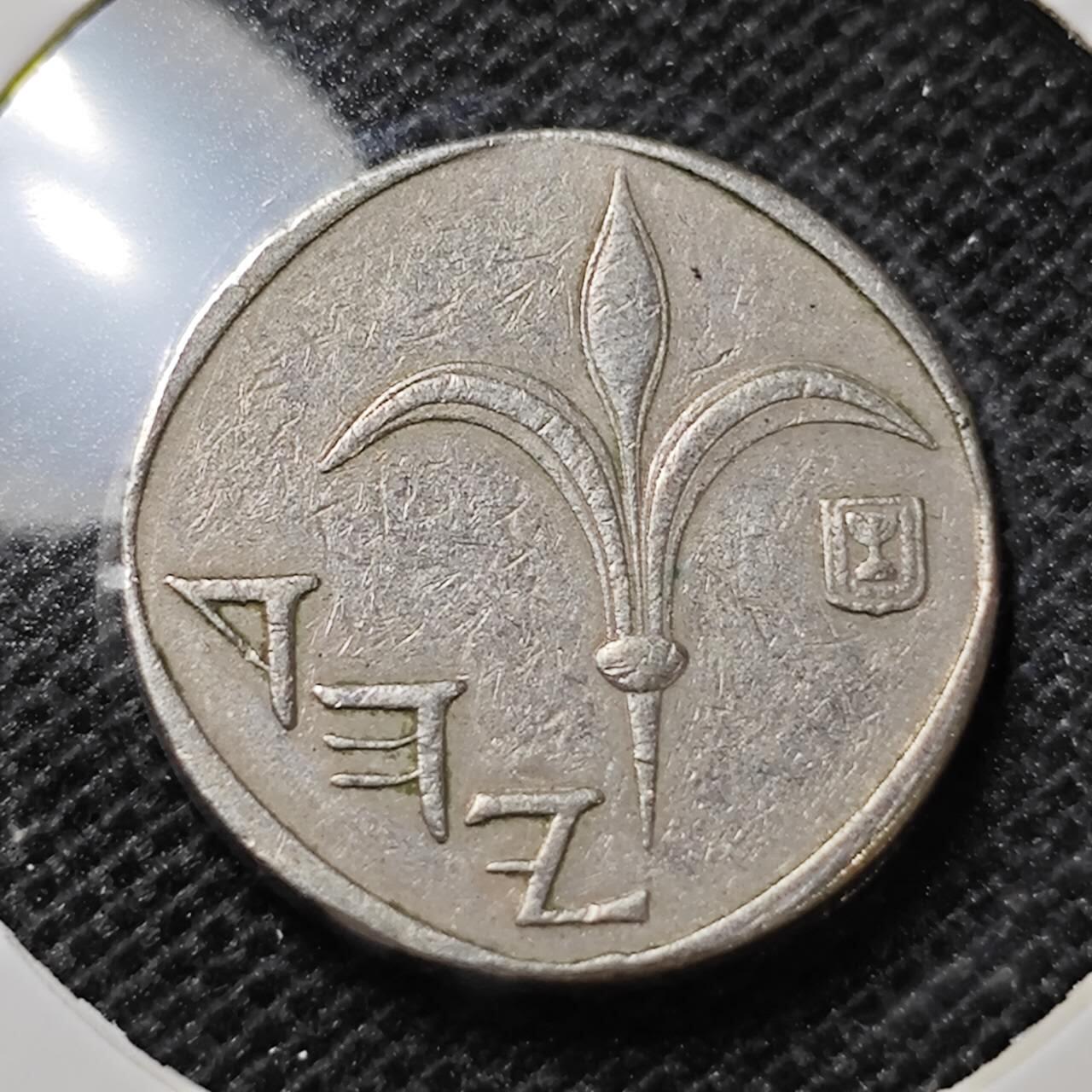 KK钱币收藏小铺 第314期 2月预留时间 周末发货 以色列1谢克尔