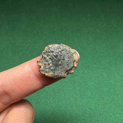 8月藏友送拍 - 古希腊塞琉古王国-安条克六世锯齿铜币