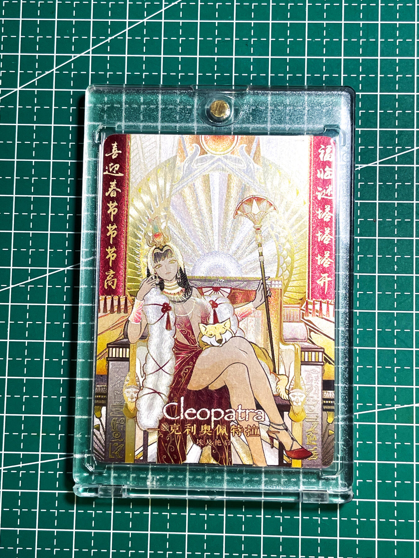 显眼宝25期 颜值精选
