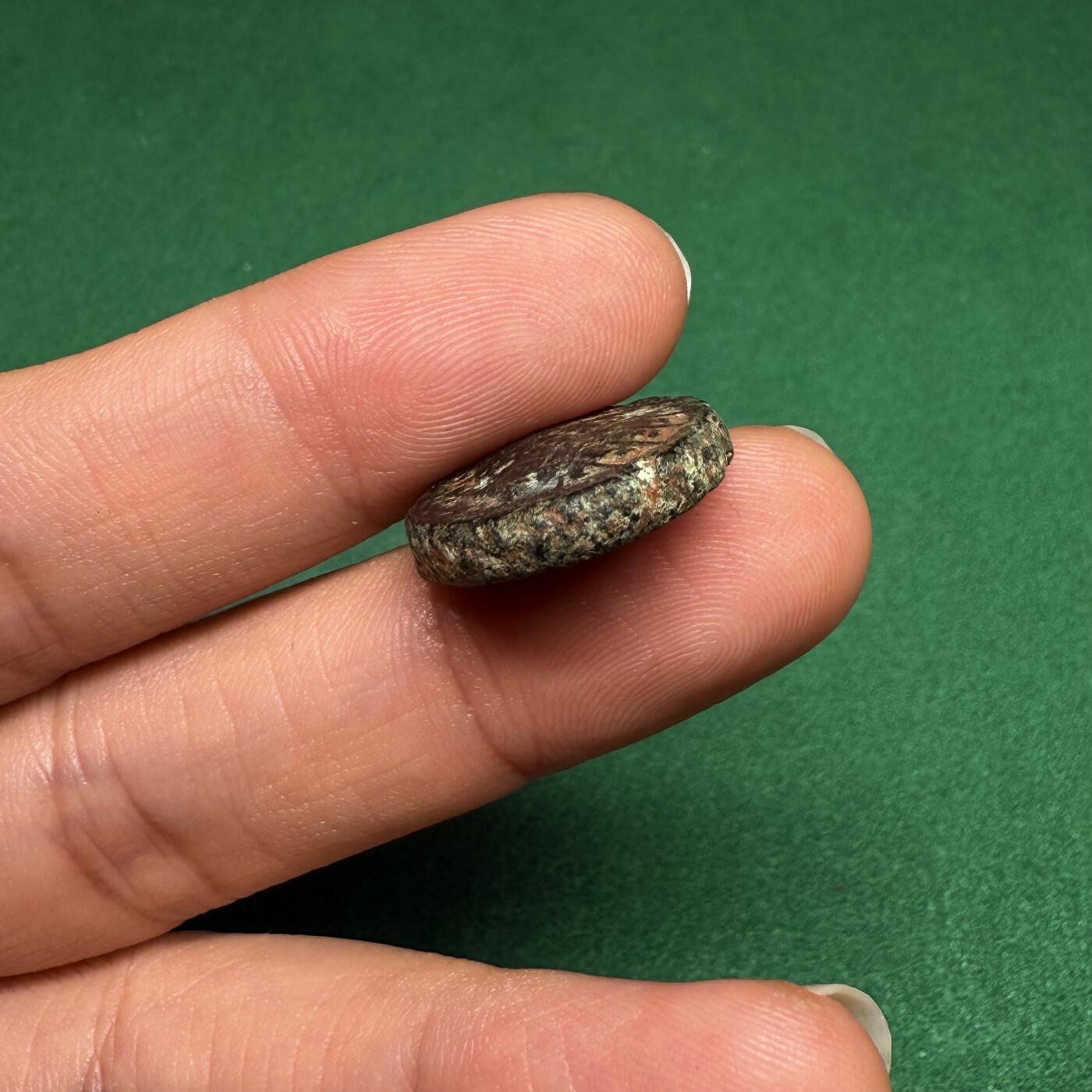 8月藏友送拍