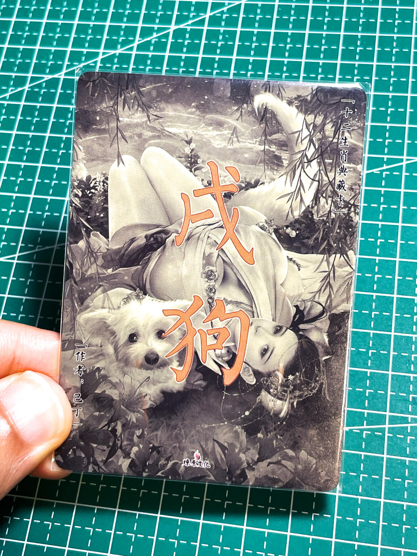显眼宝25期 颜值精选 燎原卡牌 焱卡文化 巴丁 生肖 狗粗闪卡 一张  63*88