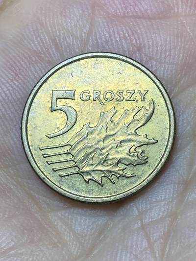 2025年第七十四场(总第一百场）外国好品散币(免佣金) - 波兰🇵🇱2002年5格罗希(新版第一版，黄铜材质无磁版)