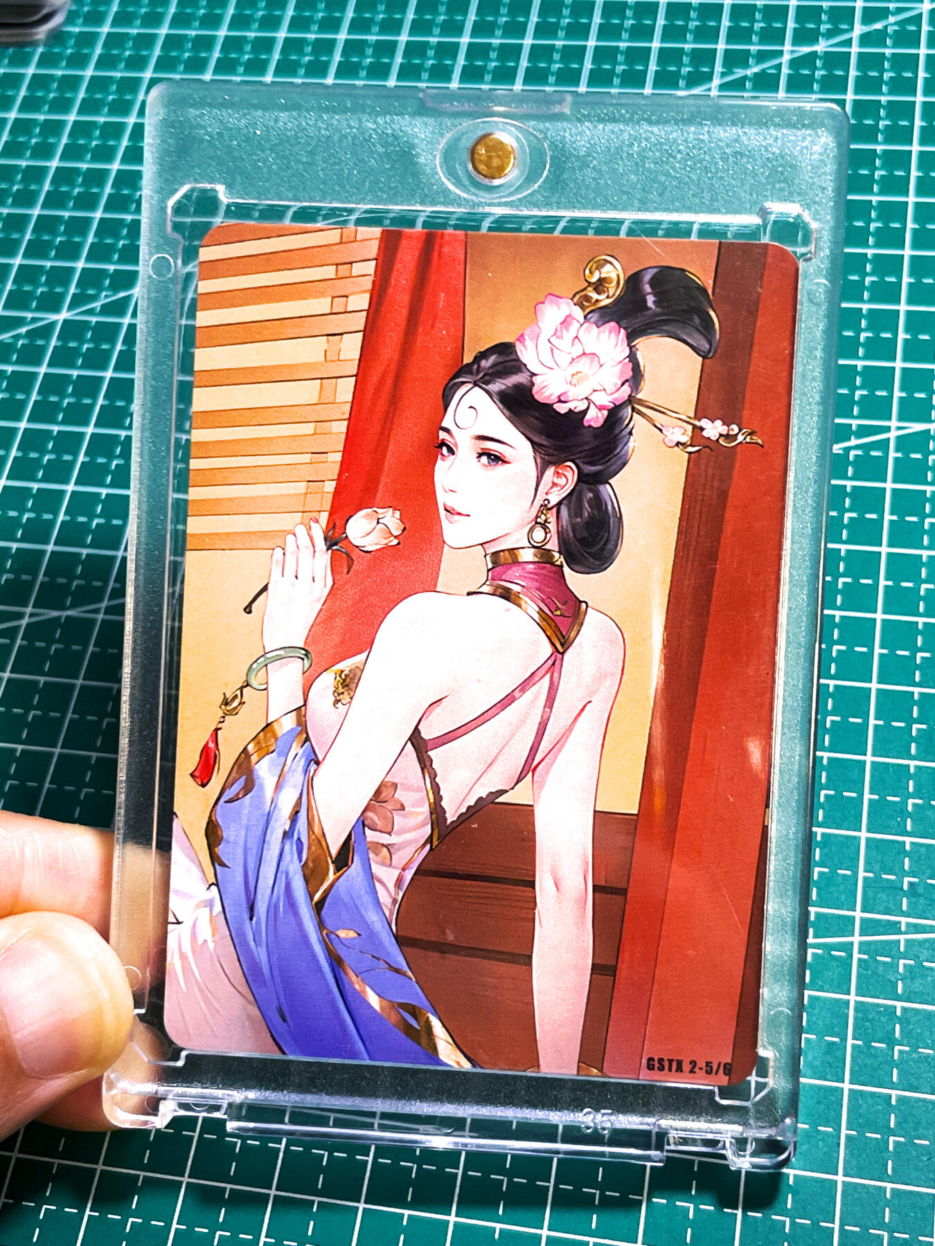 显眼宝25期 颜值精选
