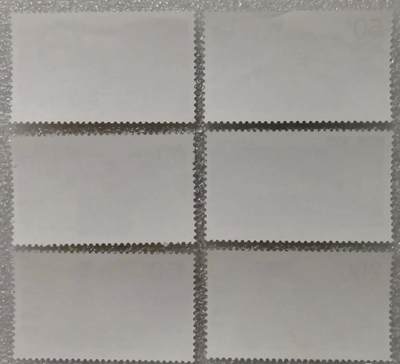 邮票专场第一期 “中国人民警察（错版）”邮票1套6枚。