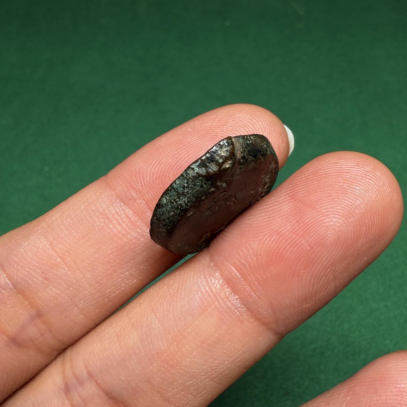 8月藏友送拍