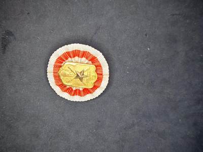凯旋世界勋赏（第17期）（欢迎送拍）（对拍品有疑问请询问客服，不接受到手刀，出价默认拍品品相。请认真阅读拍卖规则！出价默认已认可！）（收到货请录制开箱视频，无视频概不处理问题。） - 军人在乡会员章