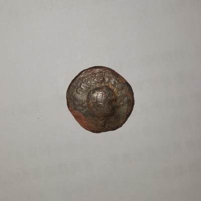 罗马帝国韦斯帕芗铜币，非常少见，左下角有磕 - 罗马帝国韦斯帕芗铜币，非常少见，左下角有磕