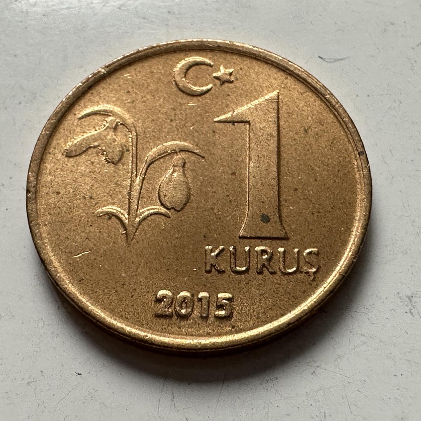 🌹外币初藏🌹🐯2025年第83场  每周二四六晚8️⃣点 接代拍 土耳其2015年一库鲁