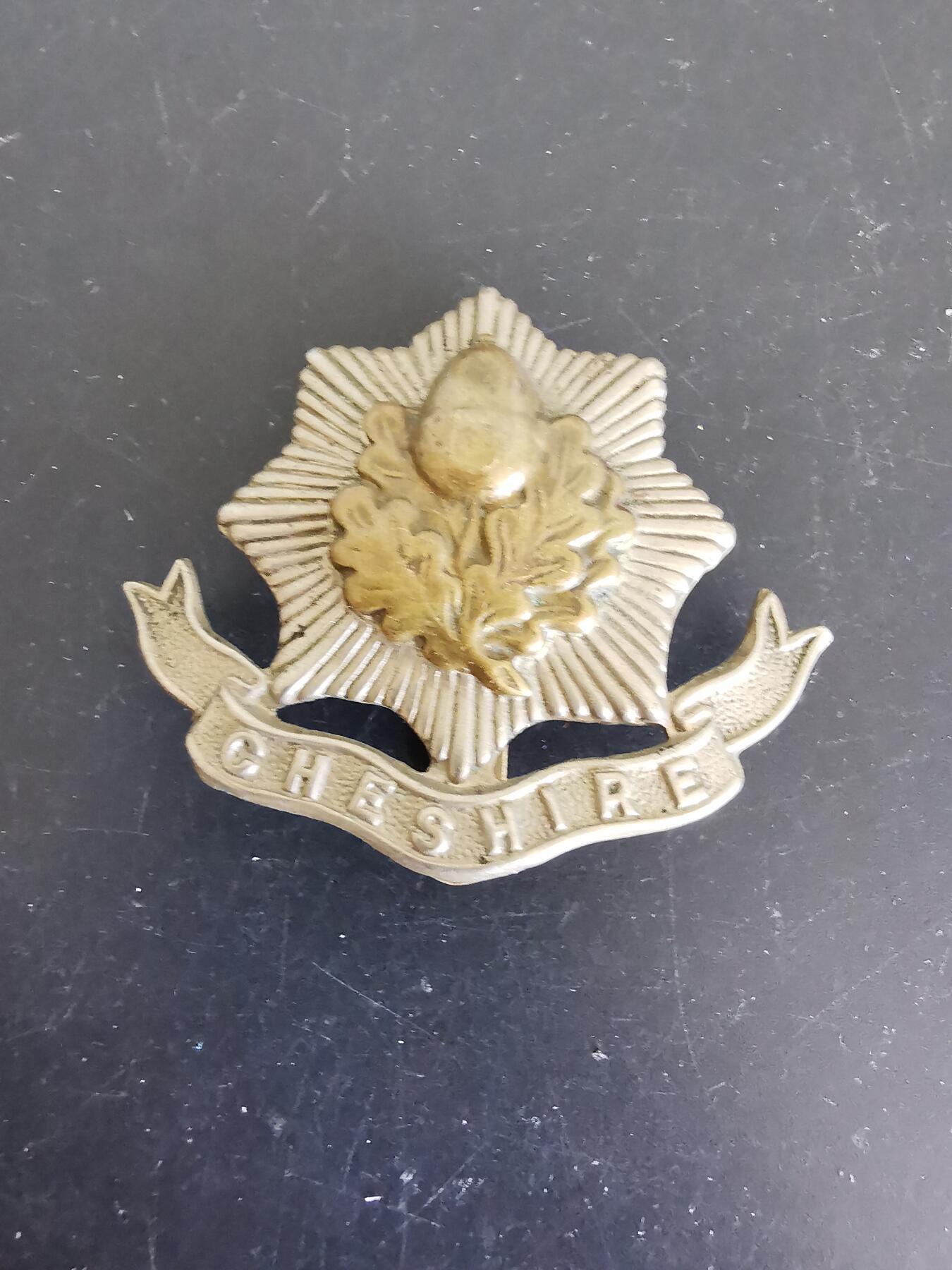 老王徽章第139期