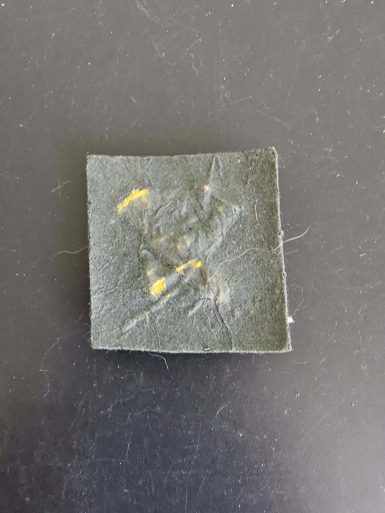 老王徽章第139期