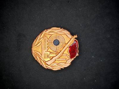 凯旋世界勋赏（第17期）（欢迎送拍）（对拍品有疑问请询问客服，不接受到手刀，出价默认拍品品相。请认真阅读拍卖规则！出价默认已认可！）（收到货请录制开箱视频，无视频概不处理问题。） - 东德工战队的射击技能章铜