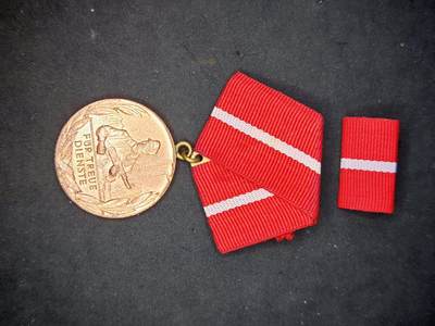 凯旋世界勋赏（第17期）（欢迎送拍）（对拍品有疑问请询问客服，不接受到手刀，出价默认拍品品相。请认真阅读拍卖规则！出价默认已认可！）（收到货请录制开箱视频，无视频概不处理问题。） - 东德工战队忠诚服务铜级