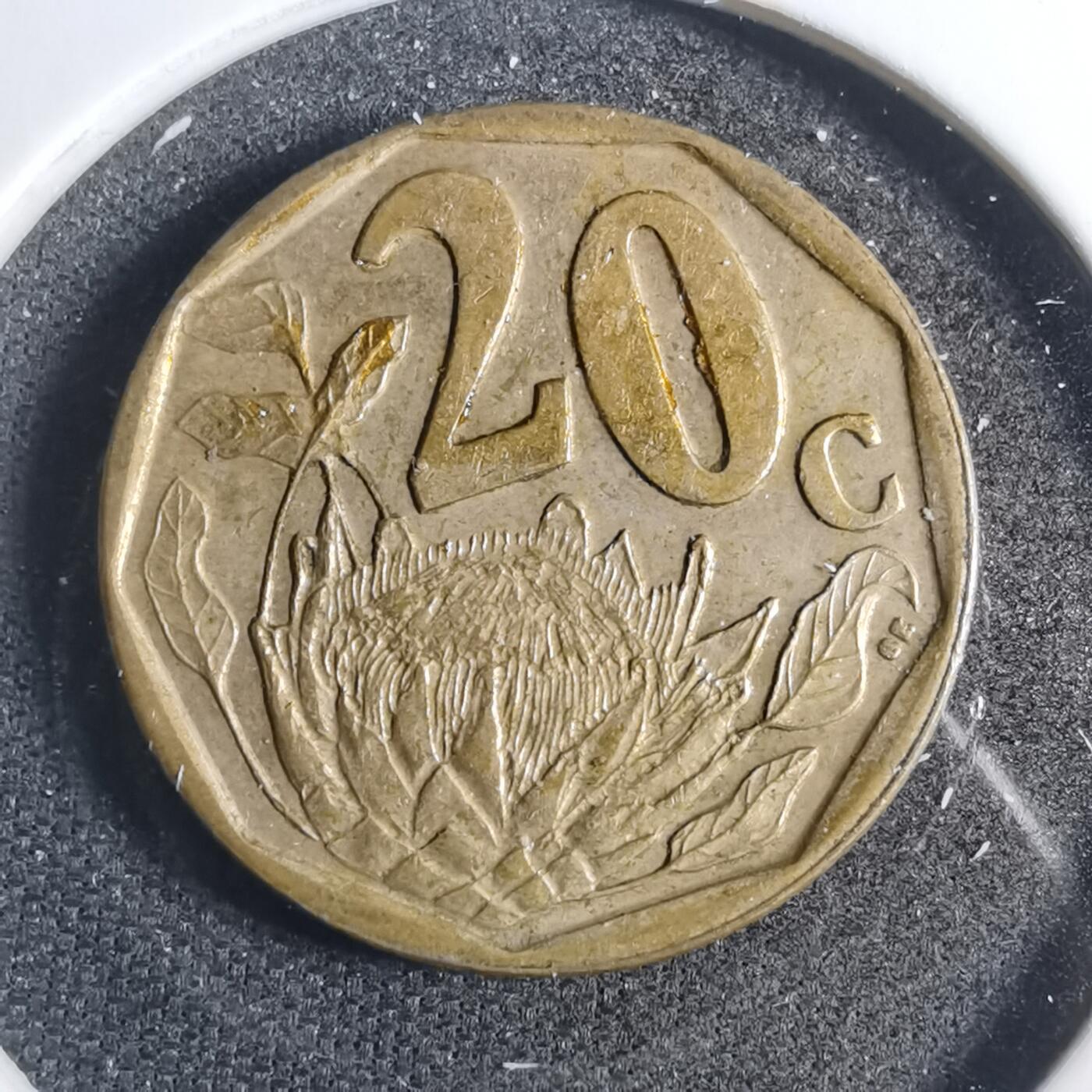 沼泽如烟--第803场 南非2005年20分
