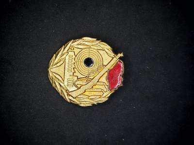 凯旋世界勋赏（第17期）（欢迎送拍）（对拍品有疑问请询问客服，不接受到手刀，出价默认拍品品相。请认真阅读拍卖规则！出价默认已认可！）（收到货请录制开箱视频，无视频概不处理问题。） - 东德工战队的射击技能章金级
