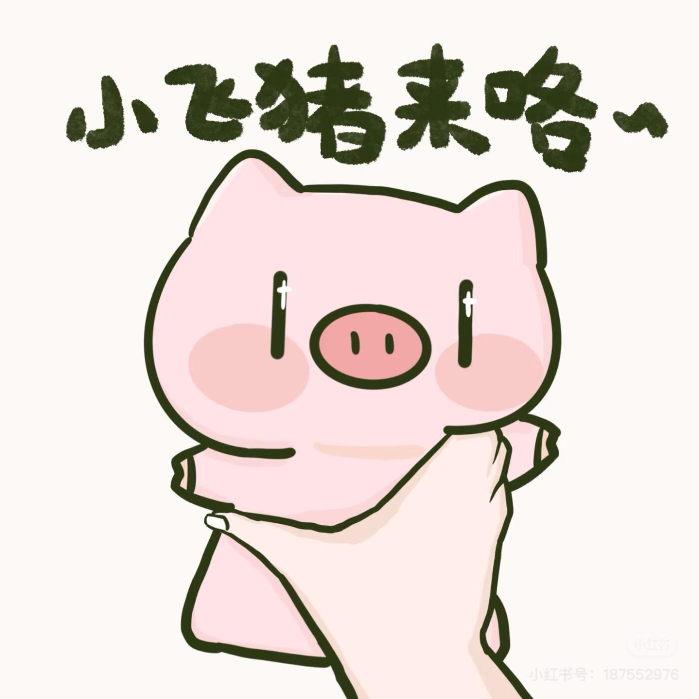 邮费拍