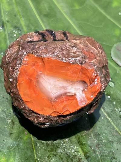 零元拍：南红玛瑙手把石，175克哦，三两多重呢，非常漂亮，纯天然，独一无二的（天然原石不可避免有瑕疵，裂纹，介意勿拍）因为拍照环境以及光线的变化，颜色以实物为准。成品很美丽，原石亦魅力无穷。 - 零元拍：南红玛瑙手把石，175克哦，三两多重呢，非常漂亮，纯天然，独一无二的（天然原石不可避免有瑕疵，裂纹，介意勿拍）因为拍照环境以及光线的变化，颜色以实物为准。成品很美丽，原石亦魅力无穷。