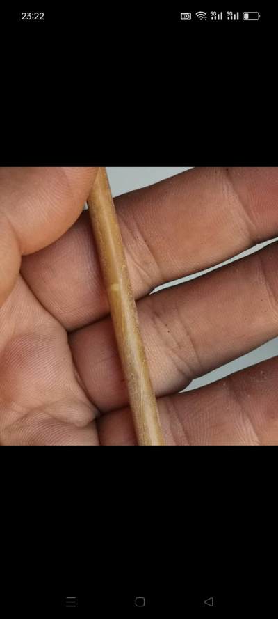 老竹制琵琶戥子，带铜头铜砣，牙手柄油亮，包浆自然。杆子长度约30厘米，秤盘完整，铜砣无损。老物件收藏使用都可以，品相如图 - 老竹制琵琶戥子，带铜头铜砣，牙手柄油亮，包浆自然。杆子长度约30厘米，秤盘完整，铜砣无损。老物件收藏使用都可以，品相如图