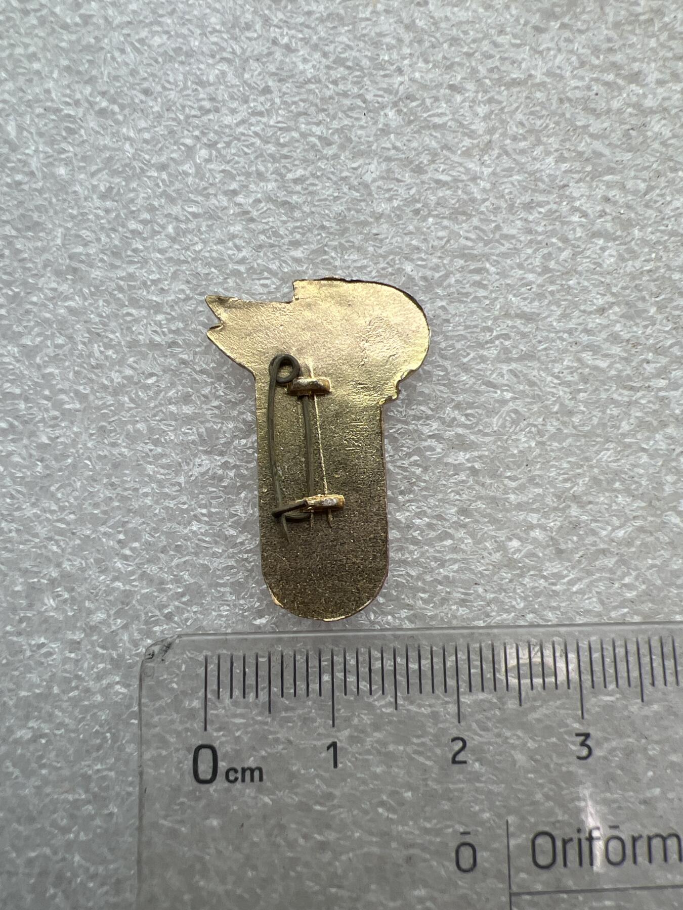 真品像章纪念章 老纪念章像章
