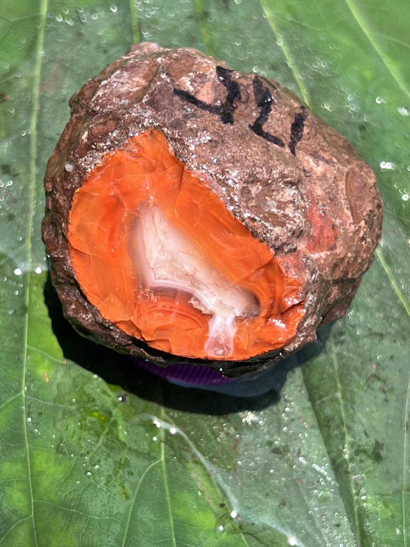 零元拍：南红玛瑙手把石，175克哦，三两多重呢，非常漂亮，纯天然，独一无二的（天然原石不可避免有瑕疵，裂纹，介意勿拍）因为拍照环境以及光线的变化，颜色以实物为准。成品很美丽，原石亦魅力无穷。