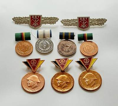 RimeNova韵星2025军品类夏季拍卖会-- RimeNova 2025 Summer Militaria Sale - 民主德国GST武装技能章农业、卫生部服役、邮政和预备役军官服役9枚