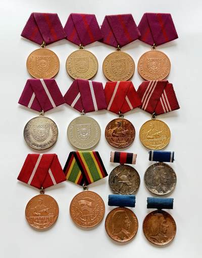 RimeNova韵星2025军品类夏季拍卖会-- RimeNova 2025 Summer Militaria Sale - 东德民防、工战队、人民军、消防和佩斯泰罗棋奖章14枚
