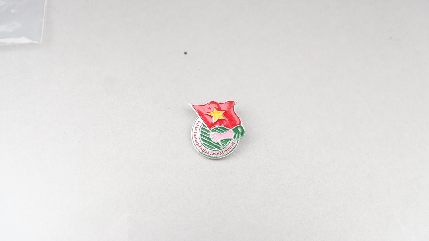 历代徽章9 越南举旗章