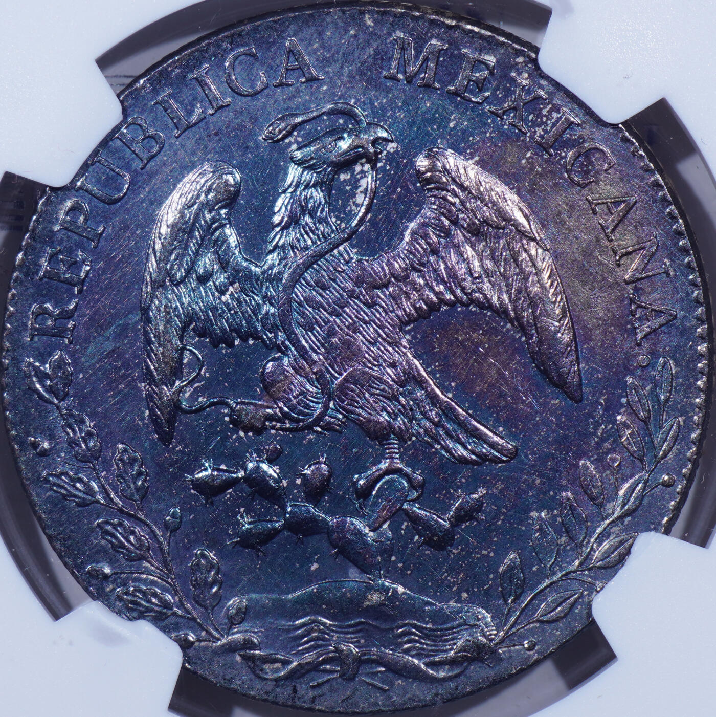 NGC MS62 1891年墨西哥MOAM版8瑞尔花边鹰洋大银币