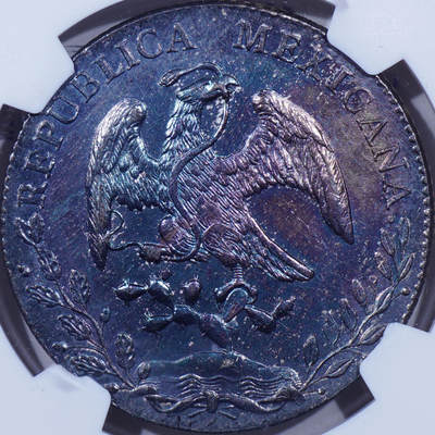 NGC MS62 1891年墨西哥MOAM版8瑞尔花边鹰洋大银币 - NGC MS62 1891年墨西哥MOAM版8瑞尔花边鹰洋大银币