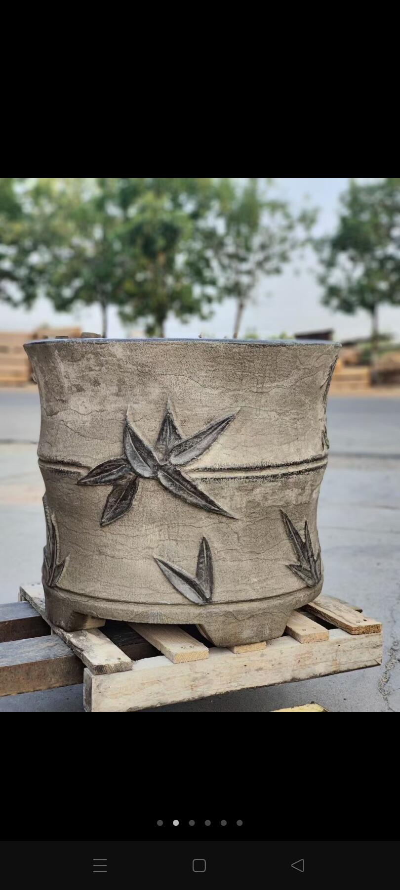 老青石竹接缸，步步高升，全品
